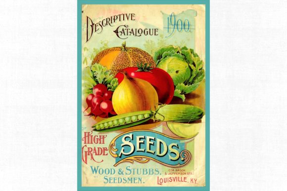 Download Vintage Seed Catalog # 104 - Catalog Collection
